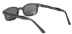 X - KD's - 1019 Polarized Sunglasses - 1019