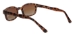 KD's - 200 Tortoise/Brown Fade - 200