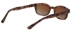 KD's - 200 Tortoise/Brown Fade - 200