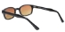 KD's - 21119 Blue Buster Amber - 21119